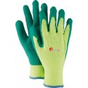 Gants. Fitter StampAcryl, Latex,  Taille  8 (Par 12)
