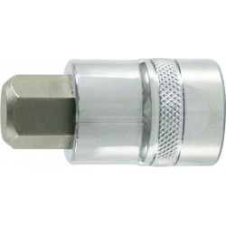 Embout de vissage 1/4'' pour vis femelle à 6 pans, poli, Cote s/plats : 6 mm, Long. 30 mm