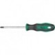 Tournevis PZ2x100mm FORTIS
