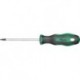 Tournevis TX10x100mm FORTIS