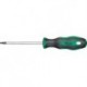 Tournevis TX20x100mm FORTIS