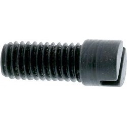 Vis de fixation pour support T B SRW 1 PCS