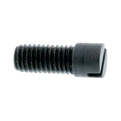 Vis de fixation pour support taille C SRW 1 PCS