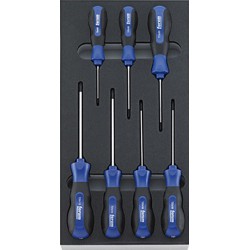 Module d'outillage Tournevis, Type : TORX®, Dimensions 1/3