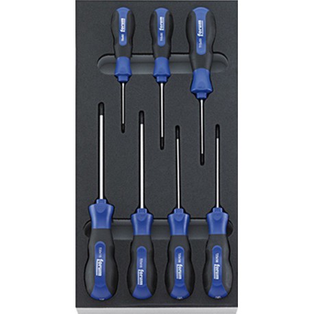 Module d'outillage Tournevis, Type : TORX®, Dimensions 1/3