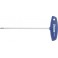 Tournevis TORX®, avec manche en T, Dimensions : T 20, Long. de la lame 100 mm