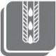 Fraise à chanfreiner 15°, 30°, 45°, 60°, 75° à arrosage central, Angle : 75 °, Ø D min./max. d2 35 mm, Ø D min./max. d1 27 mm, Dents : 2, Ø de queue : 25 m