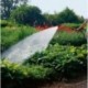 Gardena Fusil-arrosoir multi jet Profi-System Noir/Argent/Orange 30 x 20 x 20 cm 02849-20