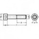 Vis a six pans DIN 912 8.8 HDG M12x45 HP E-NORMpro (Par 100)