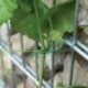Fil de liaison plat 50 m CircumPRO