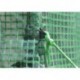Serre pour tomate 195x60x215/195 cm