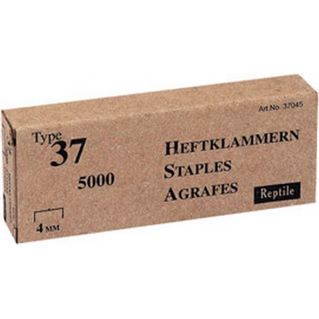 Agrafe n° 37 (13), acier, Long. : 10 mm
