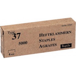 Agrafe n° 37 (13), acier, Long. : 14 mm