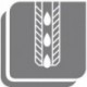 Foret 3xD UNI HB 10,0TiAlN+ IKD6537FORTIS