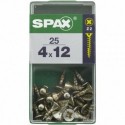 Lot de 25 vis acier tęte cylindrique bombée pozidriv SPAX, Diam.4 mm x L.12 mm
