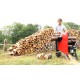 Scies à bûches thermique PUBERT SEQUOIA 55P    Lame carbure