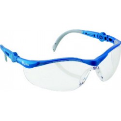 Lunettes de type intégral Pollux