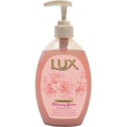 Lux Professional hand-wash 05 L