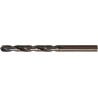 Foret hélicoïdal D338N D 338N HSS Acier rapide ch. vapeur 680mm FORUM