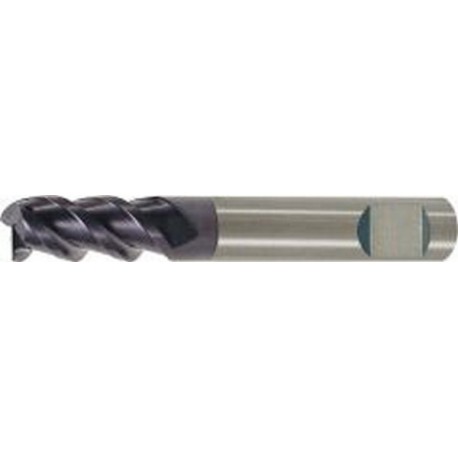 Fraise cylindrique longue, queue HB, en carbure monobloc, Ø d1 - h10 : 6,0 mm, Long. totale l1 50 mm, Long. coupe l2 13 mm