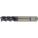 Fraise cylindrique longue, queue HB, en carbure monobloc, Ø d1 - h10 : 6,0 mm, Long. totale l1 50 mm, Long. coupe l2 13 mm