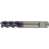 Fraise cylindrique longue, queue HB, en carbure monobloc, Ø d1 - h10 : 10,0 mm, Long. totale l1 70 mm, Long. coupe l2 22 mm