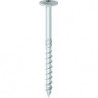 Vis à tęte plate FP Galvanisé bleu 100 x 360 (Par 25)