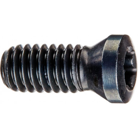 Vis de serrage pour insert M5x11 T20
