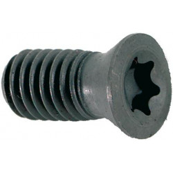 Vis de serrage pour insert M4x83 T15