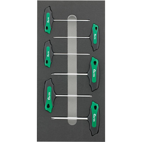 Module d'outils 1/3 T-Griff Torx FORTIS