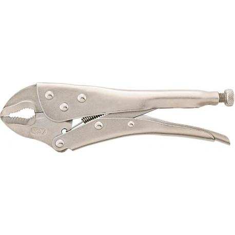 Pince étau 250mm FORTIS