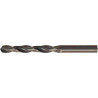 Foret hélicoidal DIN338 HSS forgés Typ RN 10mm FORTIS (Par 10)