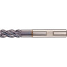 Fraise D6527M 600 HB CARAP Z4 + FORTIS