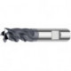 Fraise D6527L1200 / 20 + Z4 CARAP FORTIS
