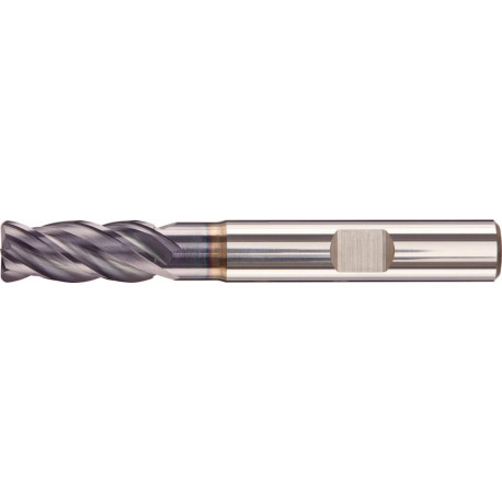 Fraise D6527L1200 / 10 + Z4 CARAP FORTIS