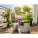 Arrosage Automatique Solaire - 20 Plantes, 14 Programmes, Fonctionne sans robinet,