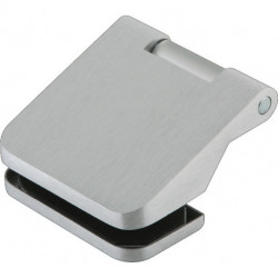 Charnière pour porte en verre OFFICE Junior LM sombre 80kg pour 3 unités .DORMAKABA (Par 2)