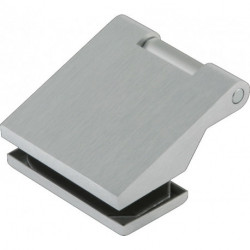 Charnière pour porte en verre OFFICE Classic LM sombre 80kg pour 3 unités .DORMAKABA (Par 2)