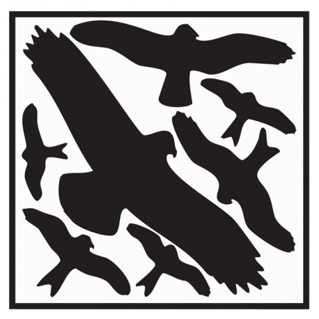 Étiquette autocollante L290xl320 mm kit protection oiseux picto d’oiseaux film autocollant