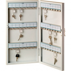 Armoire à clés 6750 H455xB380xT50mm 1-porte Nb crochet.72