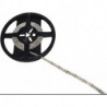 Bande LED Tudo B8xH1.2mm12 V 7.8 W/m emotion L&S