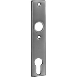 Plaque courte porte 497Z LM F1/argent" .PZ 72mm AMF