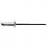 Rivet POP tige de rivet D. x l 6 x 12 mm acier/acier 250 pièce GESIPA (Par 250)