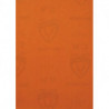 Papier abrasif PL 31 L280xl230 mm granul. 180 pour bois/métal/vernis KLINGSPOR (Par 50)