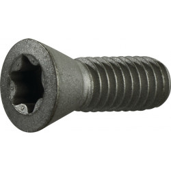 Vis de serrage taille T20 pour taille du panneau TCMT 16/SCMT 12 adapté à fraise à chanfreiner PROMAT