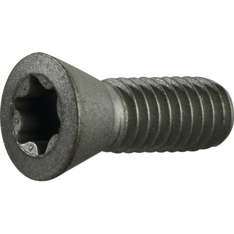Vis de serrage taille T20 pour taille du panneau TCMT 16/SCMT 12 adapté à fraise à chanfreiner PROMAT