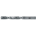 Foret hélicoïdal à bois en acier rapide type 013C D. 10 mm longueur totale 133 m
