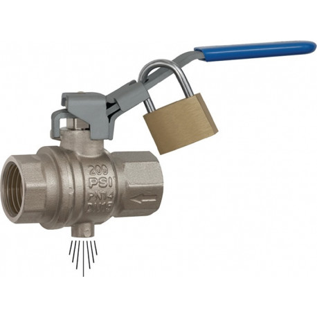 Robinet à boisseau de sécurité 20,95 mm Rp 1/2 po. filetage intérieur/intérieur DN 15 mm RIEGLER