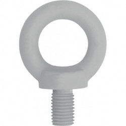 Boulon à œillet DIN 580 filetage M8 acier C15 galvanisé (Par 50)