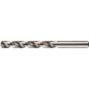 Foret hélicoïdal DIN 338 Typ VA A147 D.66mm HSS-E Queue droite 4XD Recht (Par 5)